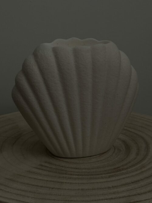 Brûleur coquillage – Image 3