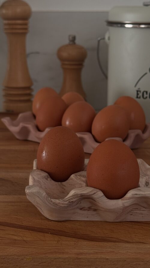Coquetier 8 œufs