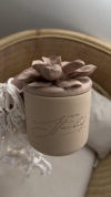 Bougie Magnolia