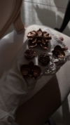 Magnets Bronze